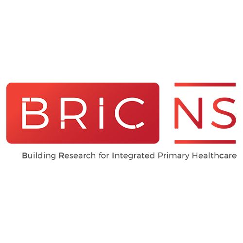 BRIC-NS